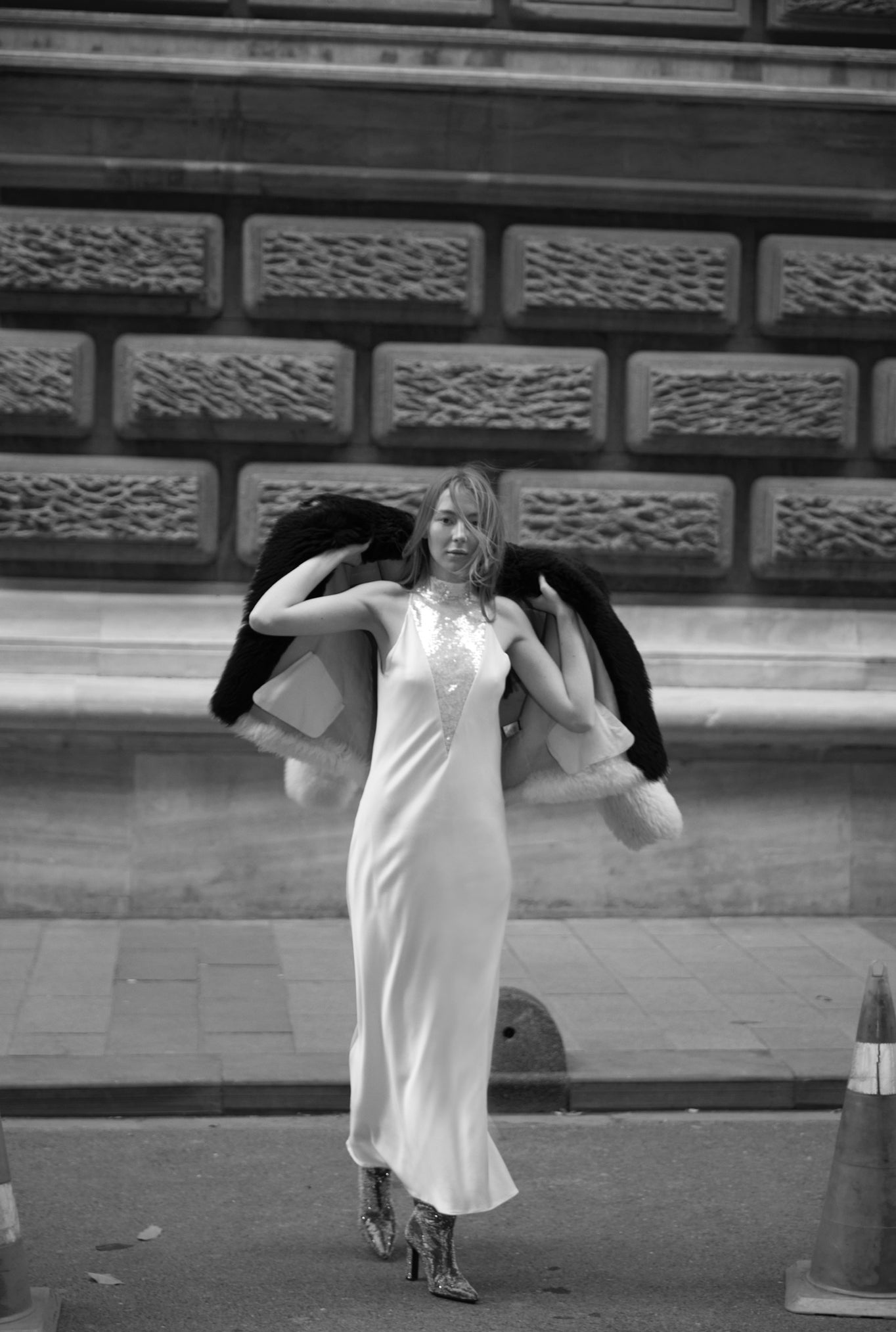 SWAN DRESS